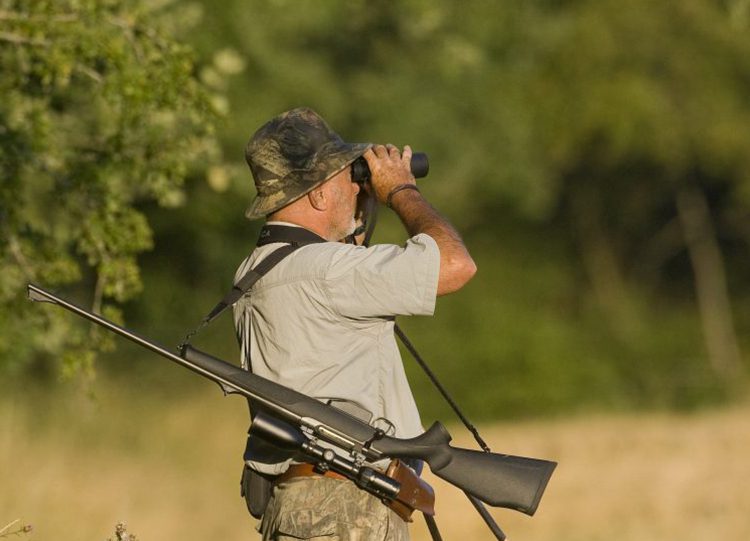 sécurité à la chasse