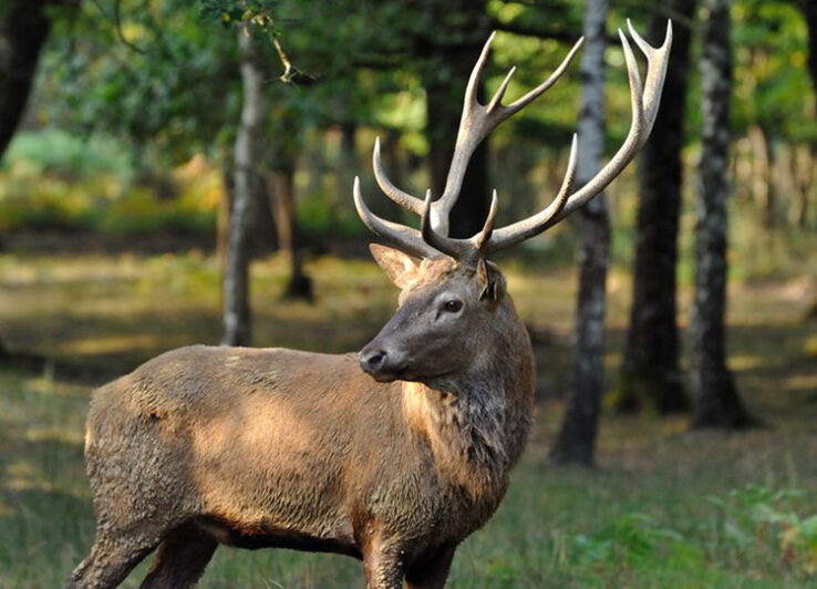 actions sur le terrain