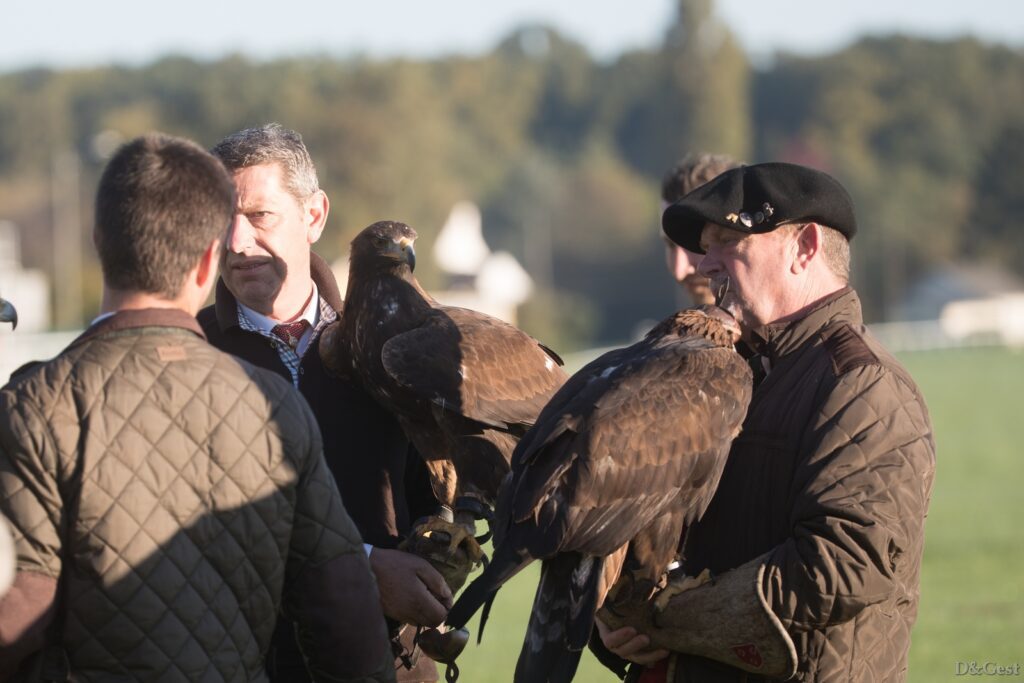 Démonstration de chasse au vol