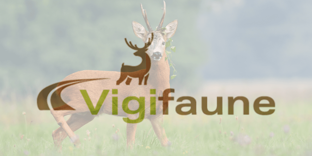 Vigifaune